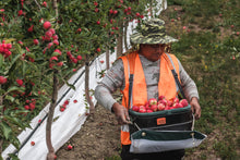 Load image into Gallery viewer, B14 Hard Shell Stonefruit Picking Bucket with Support+ Harness
